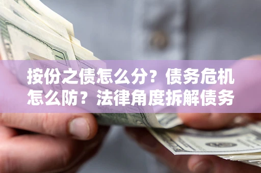 武汉按份之债怎么分？债务危机怎么防？法律角度拆解债务分配与风险自保指南