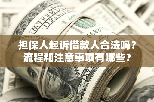 武汉担保人起诉借款人合法吗？流程和注意事项有哪些？