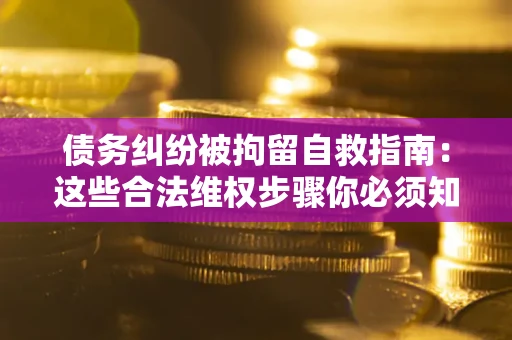 武汉债务纠纷被拘留自救指南：这些合法维权步骤你必须知道！