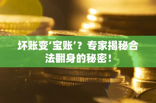 武汉坏账变‘宝账’？专家揭秘合法翻身的秘密！