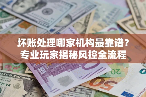 武汉坏账处理哪家机构最靠谱？专业玩家揭秘风控全流程