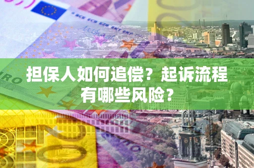 武汉担保人如何追偿？起诉流程有哪些风险？