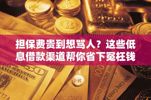 武汉担保费贵到想骂人？这些低息借款渠道帮你省下冤枉钱