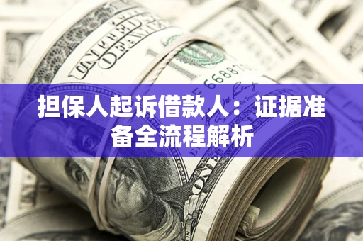 武汉担保人起诉借款人：证据准备全流程解析