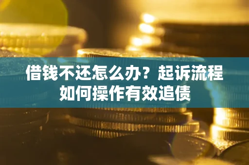 武汉借钱不还怎么办？起诉流程如何操作有效追债