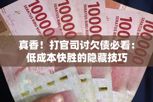 武汉真香！打官司讨欠债必看：低成本快胜的隐藏技巧