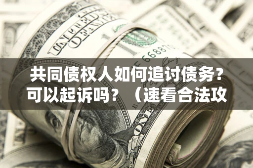 武汉共同债权人如何追讨债务？可以起诉吗？（速看合法攻略）