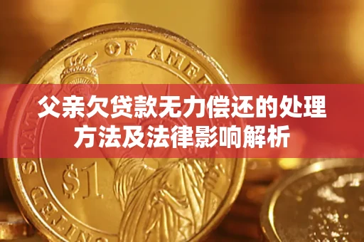 武汉父亲欠贷款无力偿还的处理方法及法律影响解析
