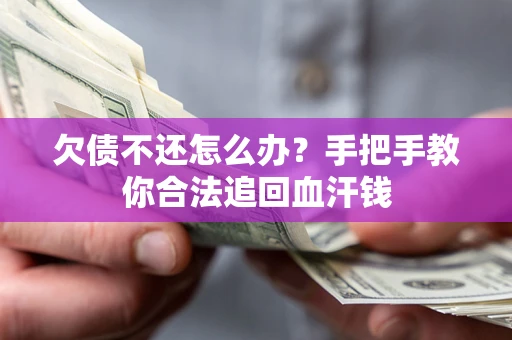 武汉欠债不还怎么办?手把手教你合法追回血汗钱 武汉欠债不还怎么办?手把手教你合法追回血汗钱