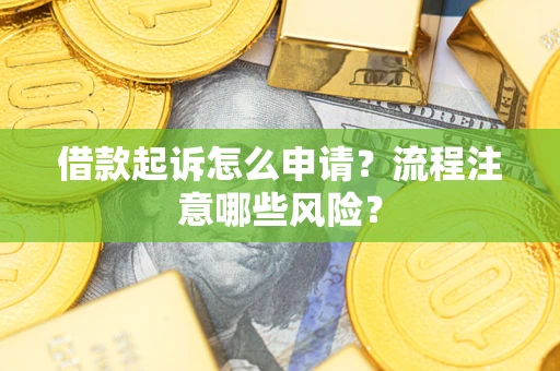 武汉借款起诉怎么申请？流程注意哪些风险？
