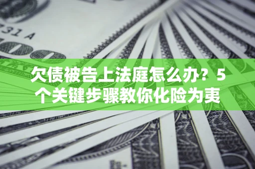 武汉欠债被告上法庭怎么办？5个关键步骤教你化险为夷